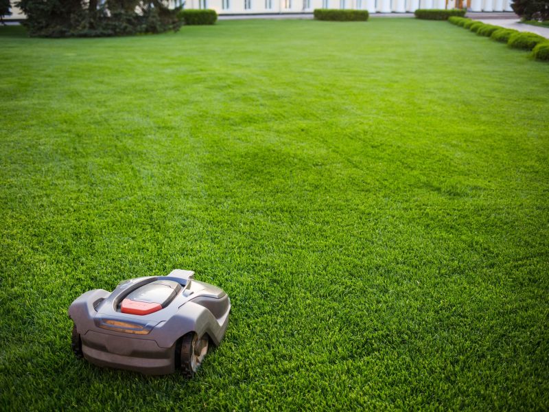 automatic lawnmower robot mower on grass, lawn. view of the large mowed lawn. copy space. automatic lawnmower robot mower on grass, lawn. view of the large mowed lawn. copy space.